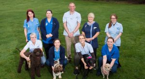 Riverside Veterinary Team