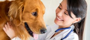 dog and nurse - riverside vets livingstone bathgate